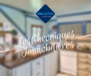 Chronique Immobilière